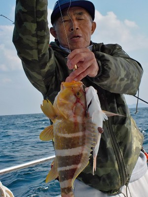 DSCN2978